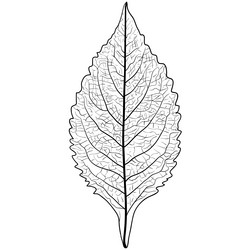 Similar image 21632633