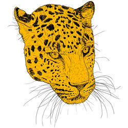 Similar image 21632868