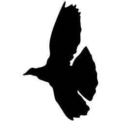 Similar image 21644411