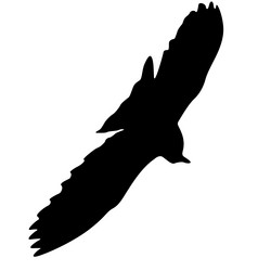 Similar image 21644416