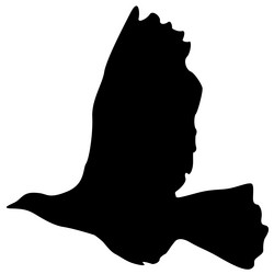 Similar image 21655520