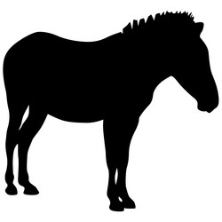 Similar image 21645008