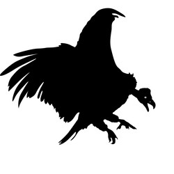 Similar image 21644687