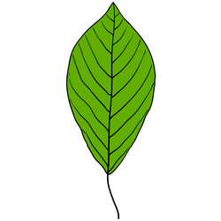 Similar image 21644691