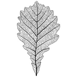 Similar image 21646818