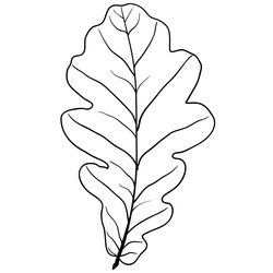 Similar image 21646820