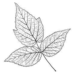 Similar image 21646823