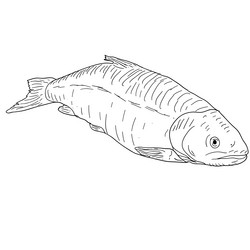 Similar image 21646975