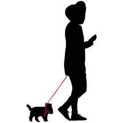 Similar image 21650919