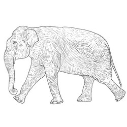 Similar image 21647169