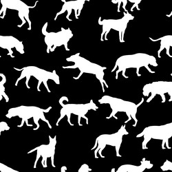 Similar image 21650928