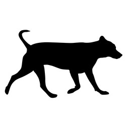 Similar image 21650937