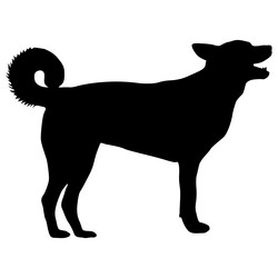 Similar image 21651370