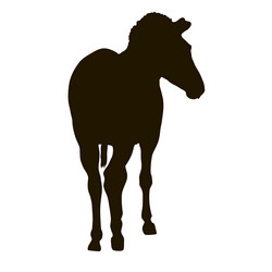 Similar image 21632902