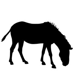 Similar image 21633175