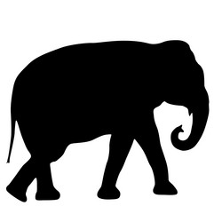 Similar image 21633177