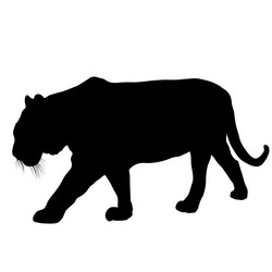 Similar image 21633364