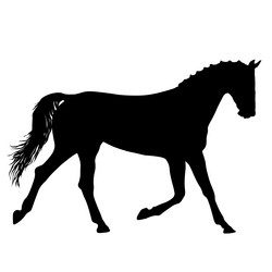 Similar image 21644707