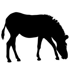 Similar image 21632906