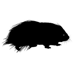 Similar image 21633185