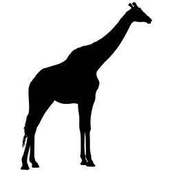 Similar image 21633190