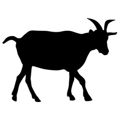 Similar image 21633381