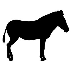 Similar image 21634140