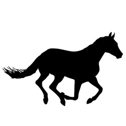 Similar image 21644523