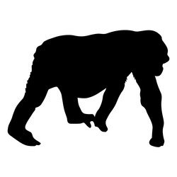 Similar image 21651390