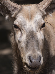 Similar image 21634151