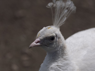 Similar image 21635571