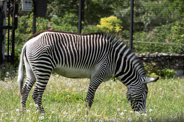 Similar image 21644249