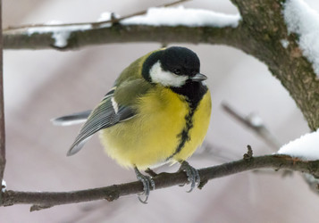 Similar image 21644542