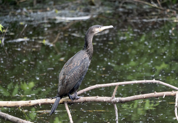 Similar image 21644543