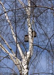 Similar image 21644549