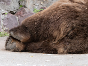 Similar image 21644550