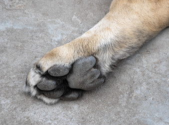 Similar image 21644719