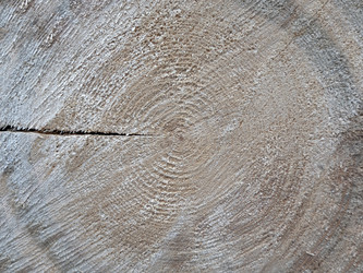 Similar image 21633211