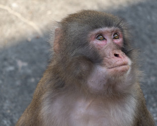 Similar image 21633213