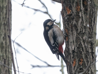 Similar image 21635217