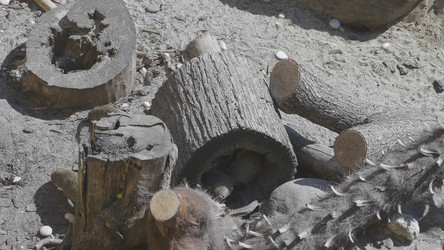 Similar image 21633414