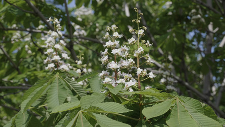 Similar image 21644554