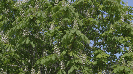 Similar image 21644720