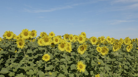 Similar image 21646856