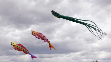 Similar image 21650959