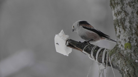 Similar image 21651415