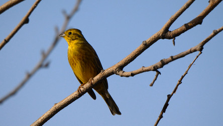 Similar image 21655607