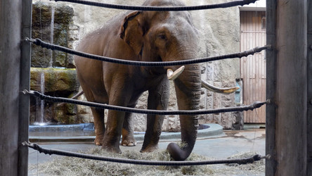 Similar image 21633416