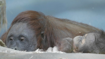 Similar image 21644558