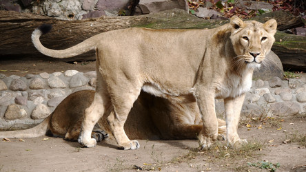 Similar image 21644559